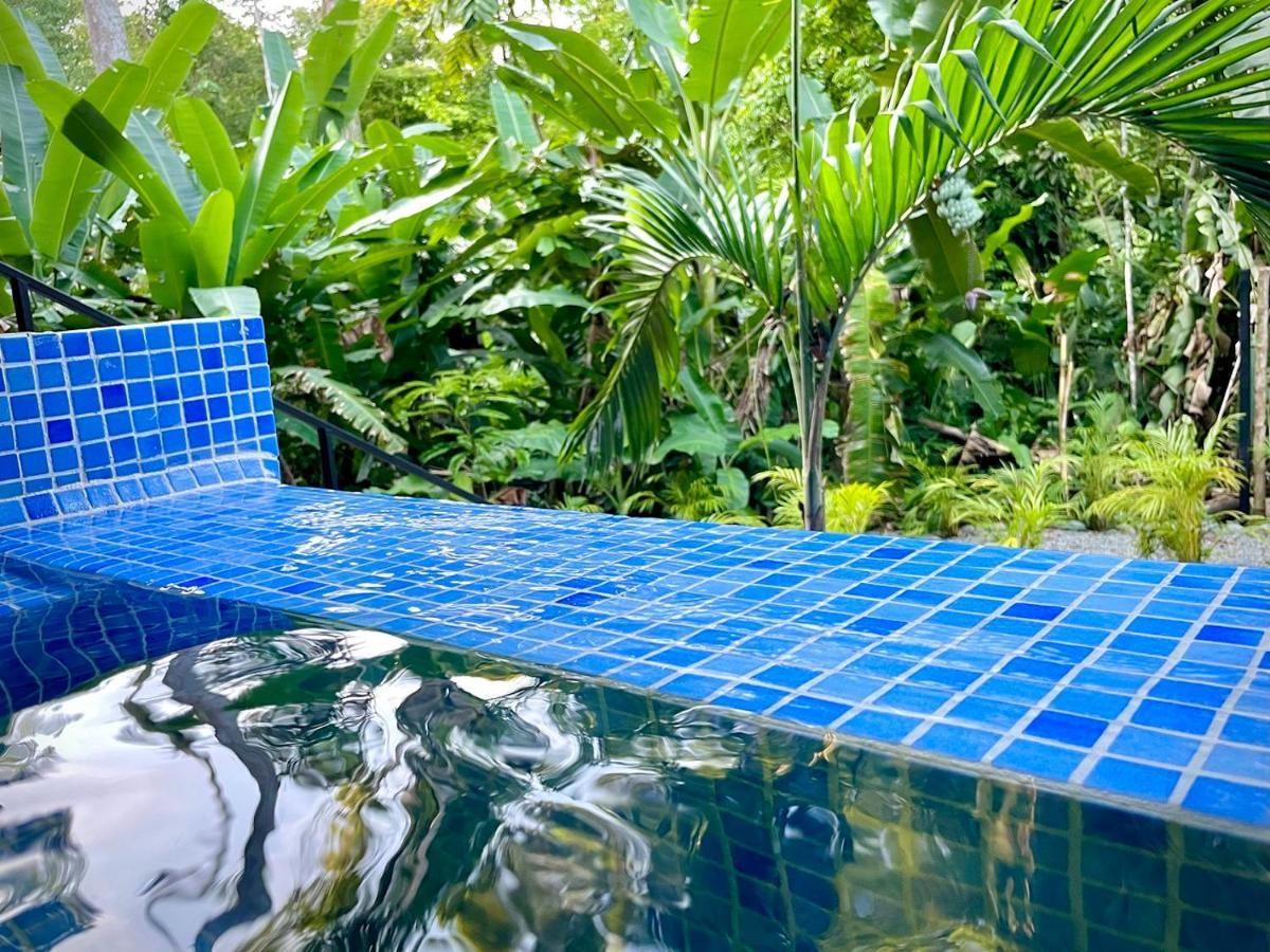 Villa Joeyshe- New Luxury Villa With Pool & Ac Puerto Viejo de Talamanca Eksteriør billede